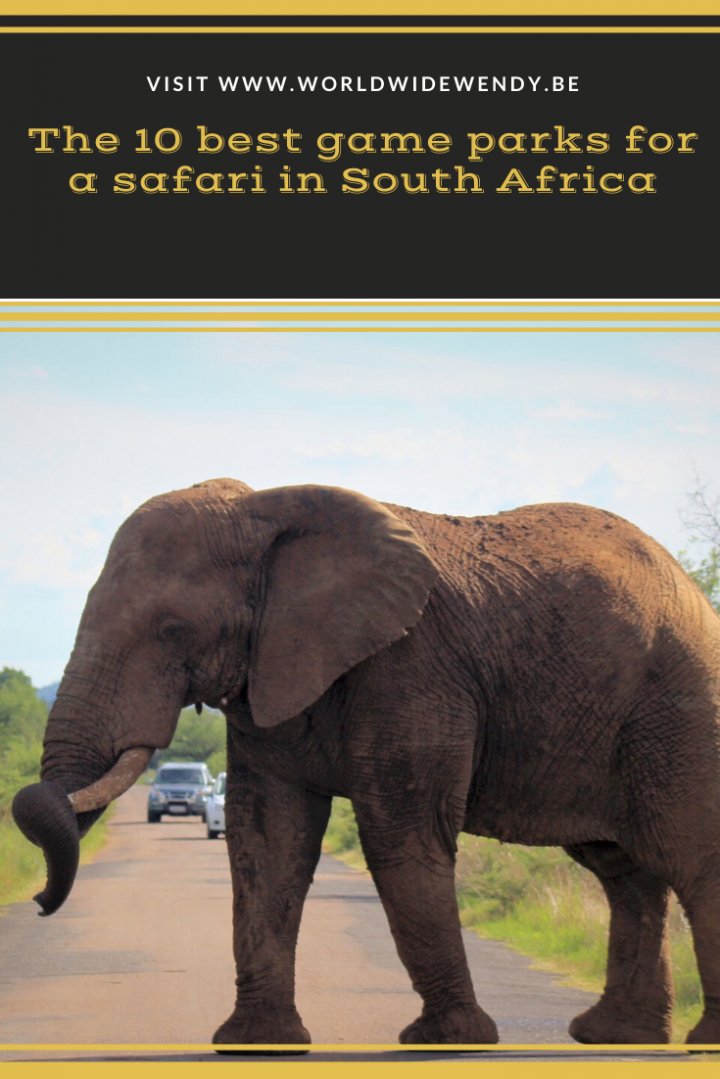 The 11 best game parks for a safari in South Africa › WorldWideWendy
